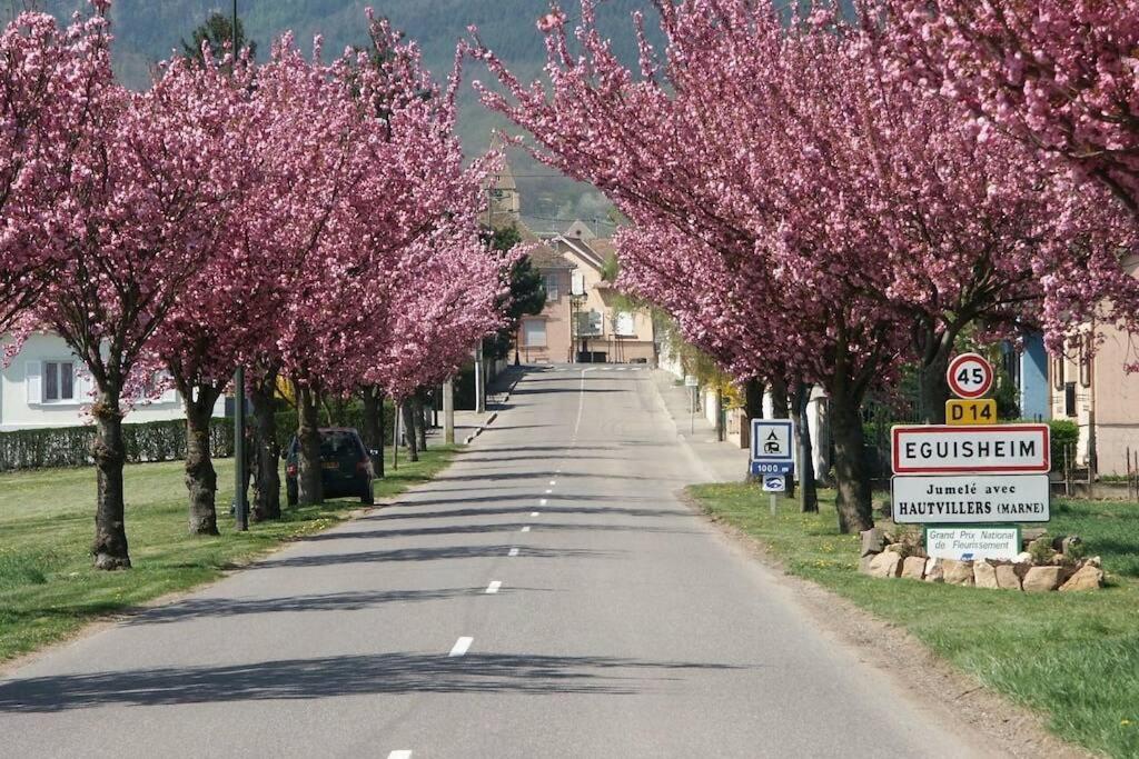Gite A Eguisheim Proche De Colmar Et Kaysergberg. Экстерьер фото