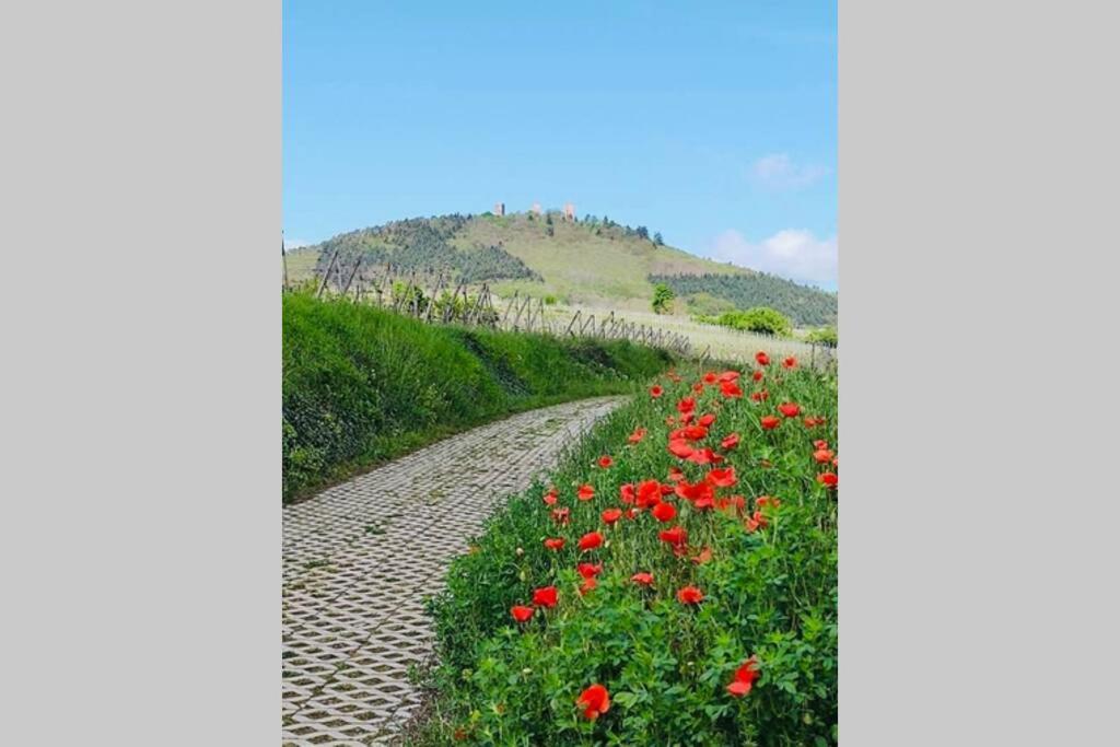 Gite A Eguisheim Proche De Colmar Et Kaysergberg. Экстерьер фото