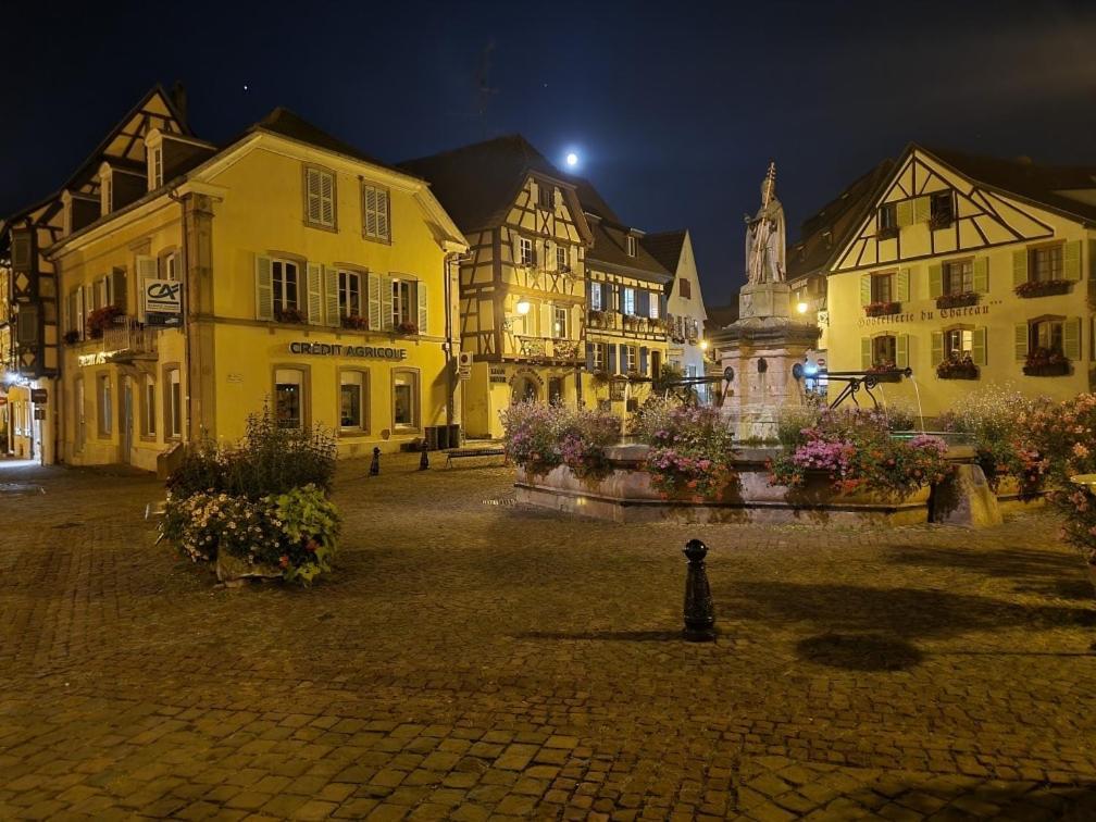 Gite A Eguisheim Proche De Colmar Et Kaysergberg. Экстерьер фото